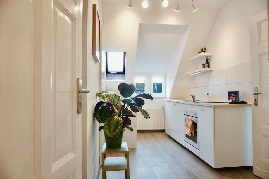 Neu I Moderne Zentrale Wohnung I Netflix I 4 Gaeste Andernach Extérieur photo